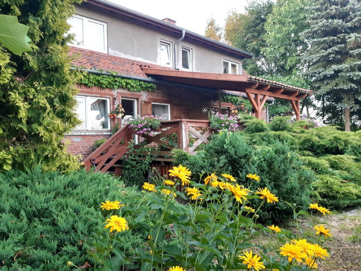 Dziki Brzeg Jezioraka Villa Zalewo  Exterior foto